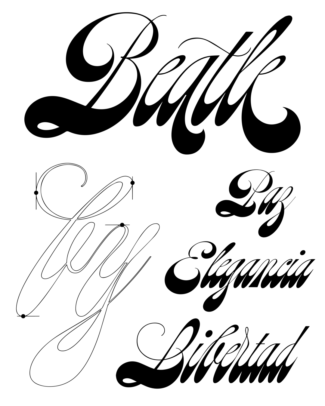 Specimen Beatle
