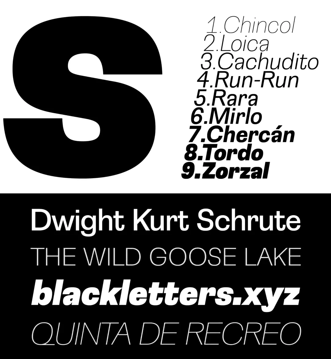 Specimen Loica sans