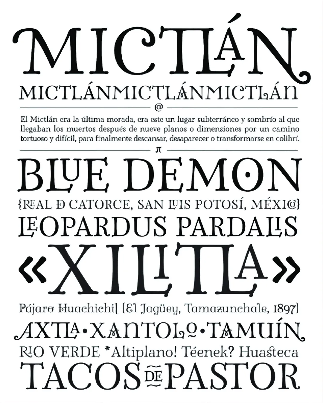 Specimen Mictlán
