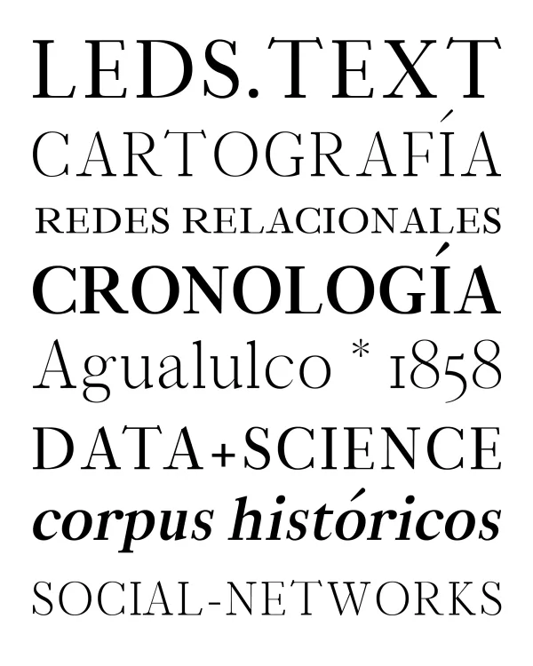 LEDS Text